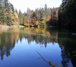 Taubensee