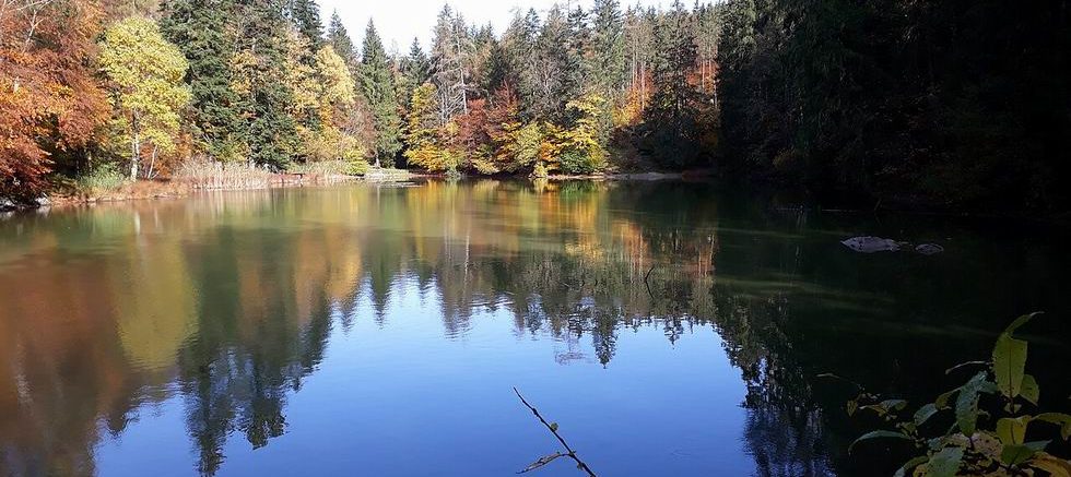 Taubensee